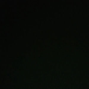 Meet your Posher, Gracie